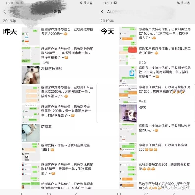 新手必看丨买狗常见的骗术大揭秘-4.jpg