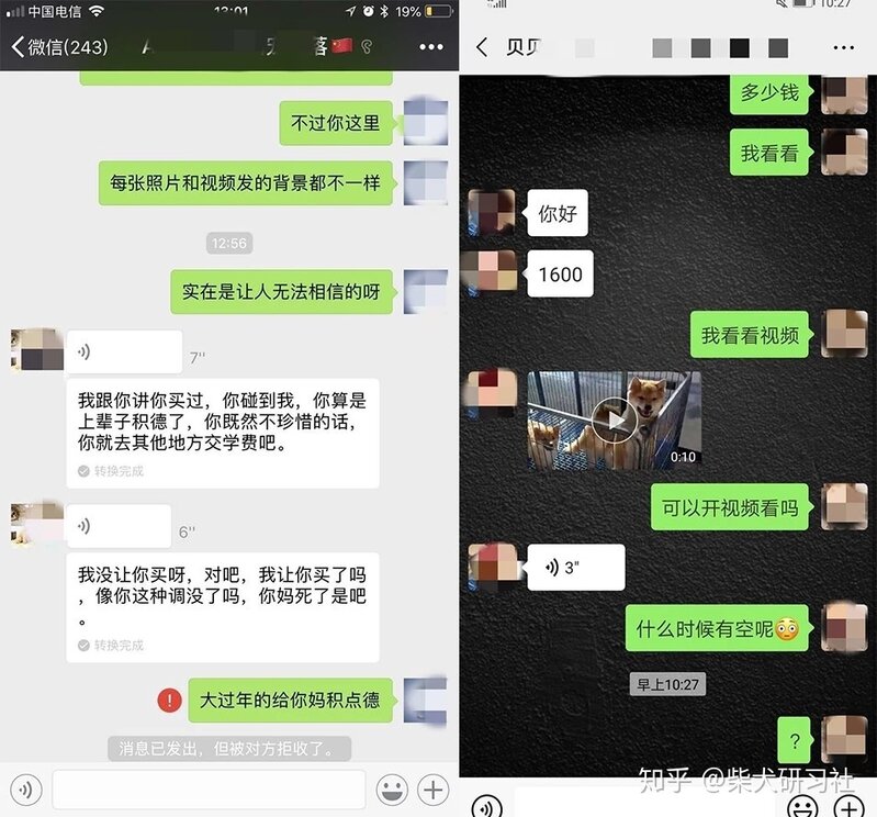 新手必看丨买狗常见的骗术大揭秘-6.jpg