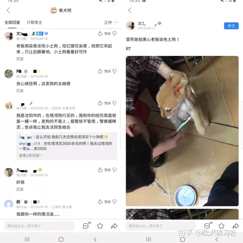 新手必看丨买狗常见的骗术大揭秘-8.jpg