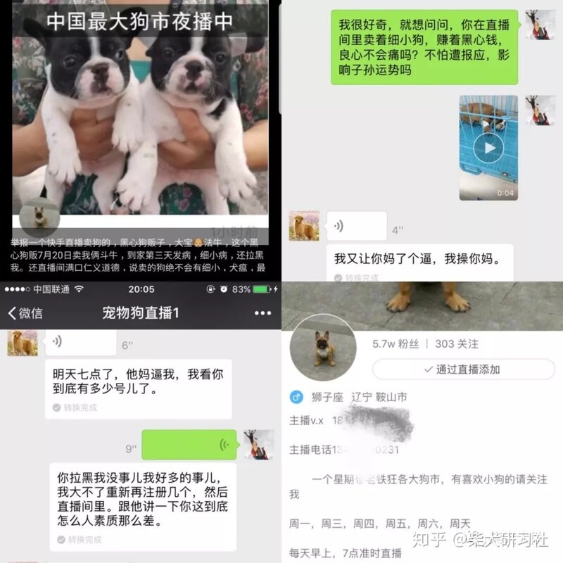 新手必看丨买狗常见的骗术大揭秘-10.jpg