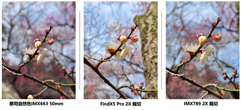 如何评价 2月 24 日发布的 OPPO Find X5 系列旗舰手机？有 ...-12.jpg