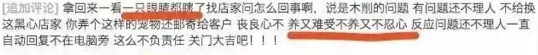 活体盲盒？！是惊喜还是惊吓？-3.jpg