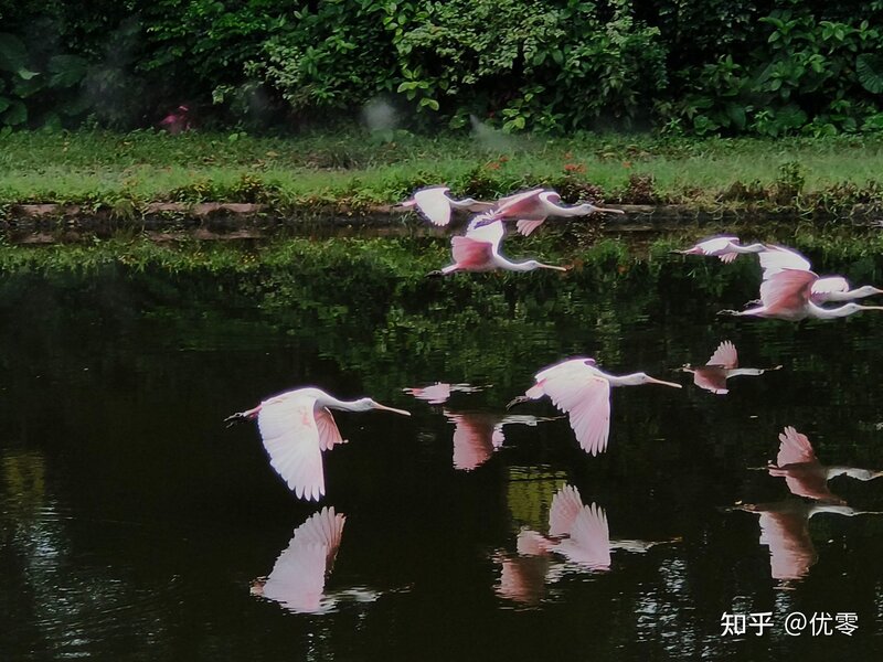 利刃出鞘，浅谈摄影师眼中的vivo x80-14.jpg