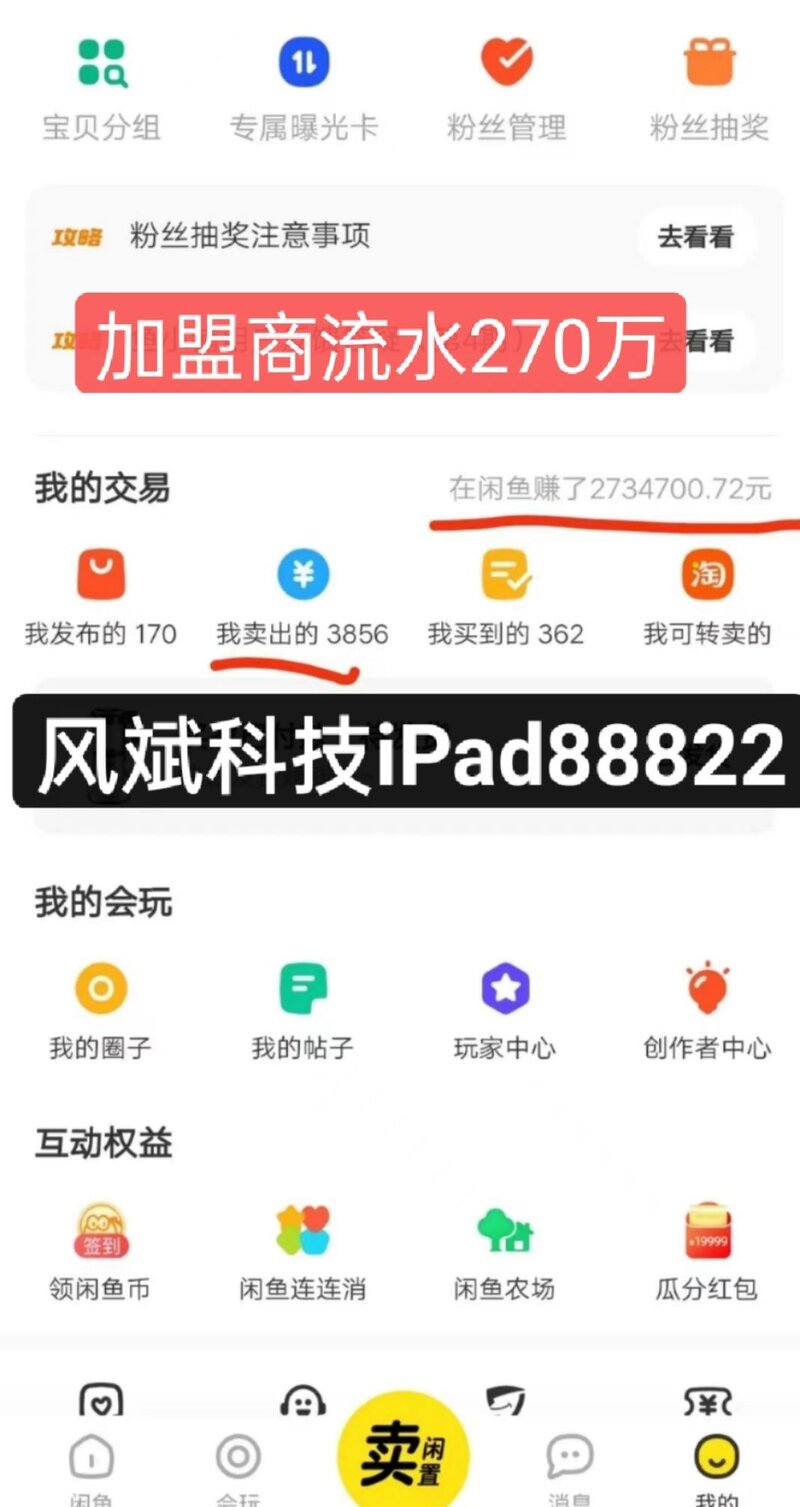 2022年最赚钱的项目（闲鱼卖iPad）-32.jpg