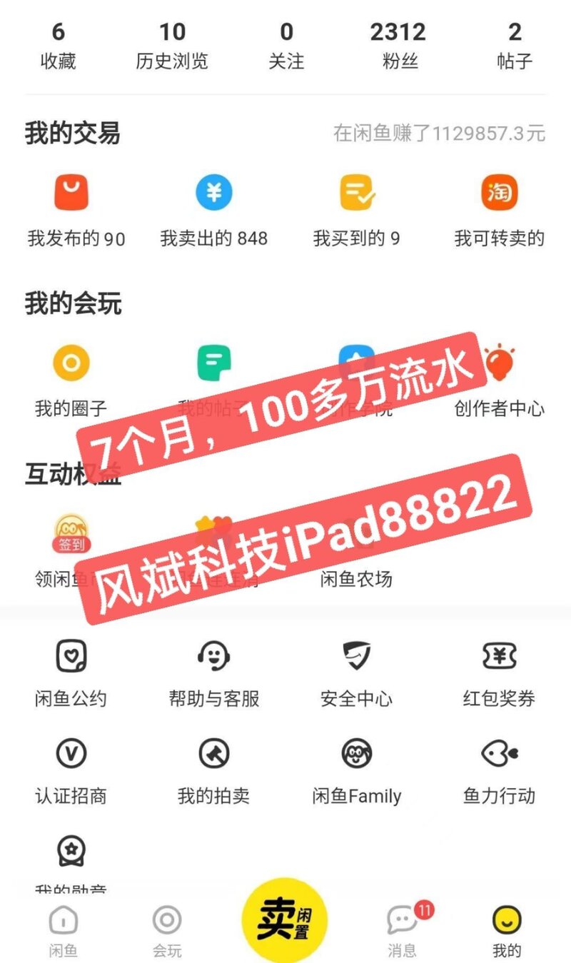 2022年最赚钱的项目（闲鱼卖iPad）-34.jpg