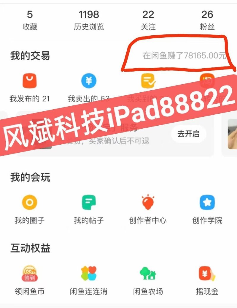 2022年最赚钱的项目（闲鱼卖iPad）-35.jpg