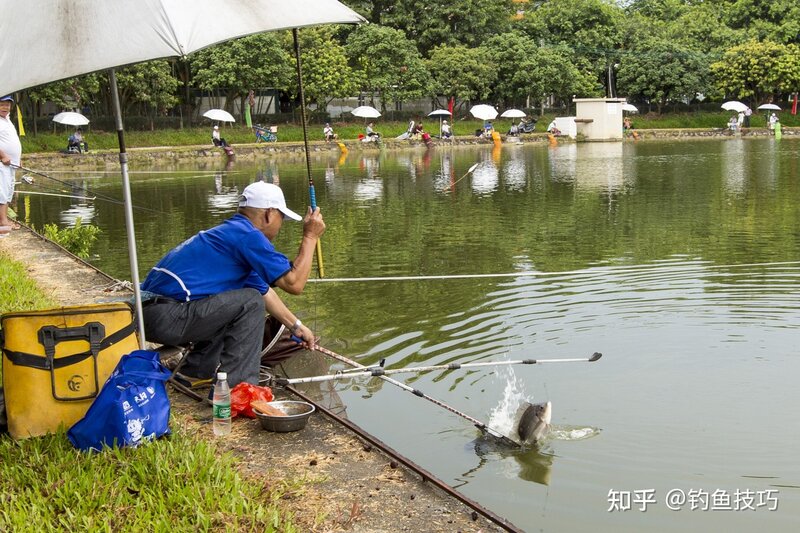 春季钓罗非鱼的水深、鱼窝和鱼饵味型，4个窍门助你钓罗非爆护-2.jpg