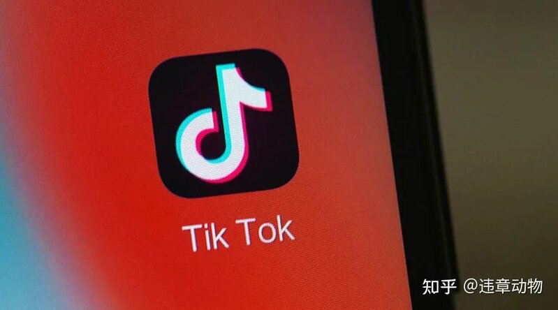 安卓手机在国内怎么玩tiktok，tiktokios国内怎么用-1.jpg