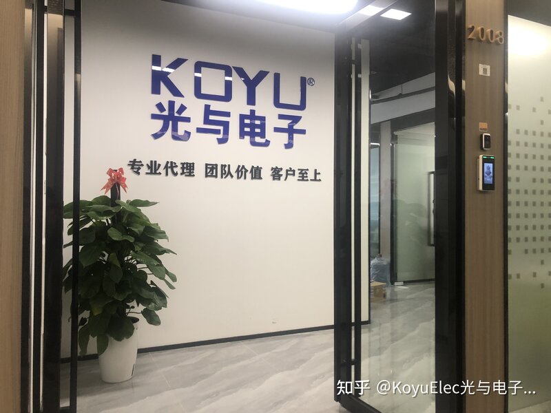 WAYON上海维安半导体原厂授权一级代理分销KOYUELEC ...-1.jpg