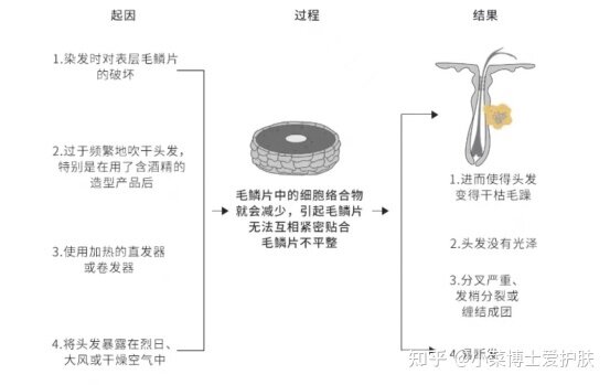 【秃头星人必看】医学硕士手把手教你最正确的防脱发攻略 ...-9.jpg