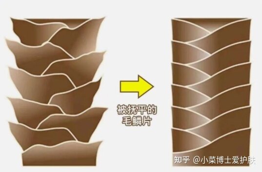 【秃头星人必看】医学硕士手把手教你最正确的防脱发攻略 ...-7.jpg