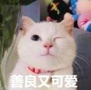 华为手机/电脑双十一/双11怎么买蕞便宜/划算？华为手机 ...-7.jpeg