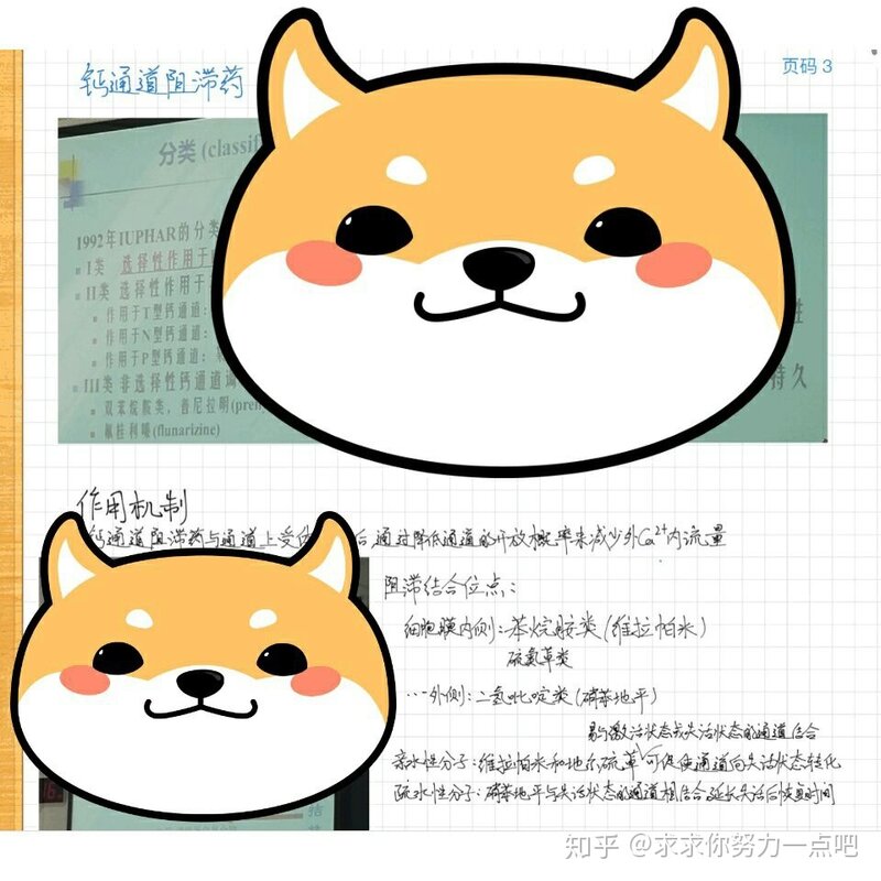 大学用 iPad 记笔记真的方便吗？-2.jpg