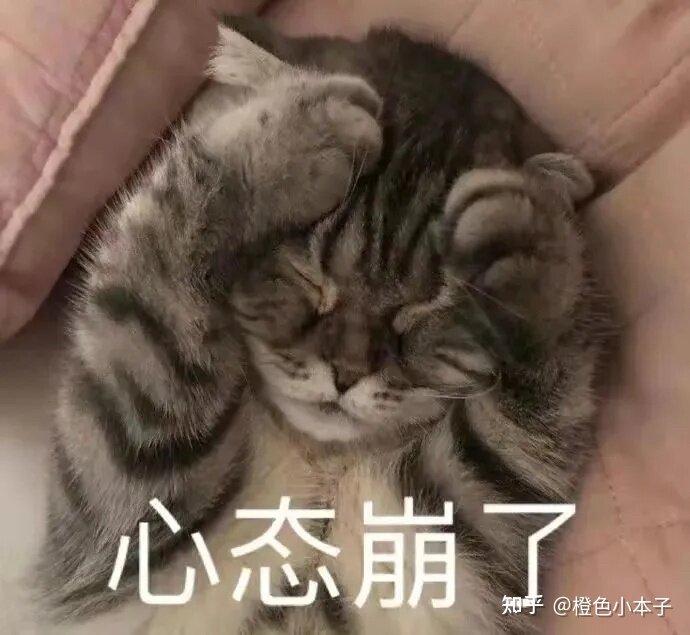 学习需要，想买一个平板，但是因为手机是荣耀的，一直在 ...-1.jpg