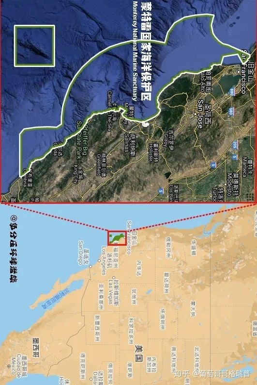 翻车鱼、Mola mola、太阳鱼、sunfish说的是一种鱼吗？-9.jpg