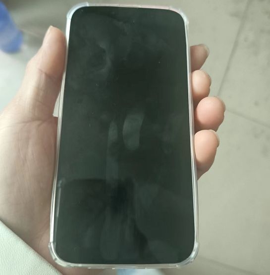 二手iPhone13资源机要4800？评论：真敢要，全新机才4900！-1.jpg