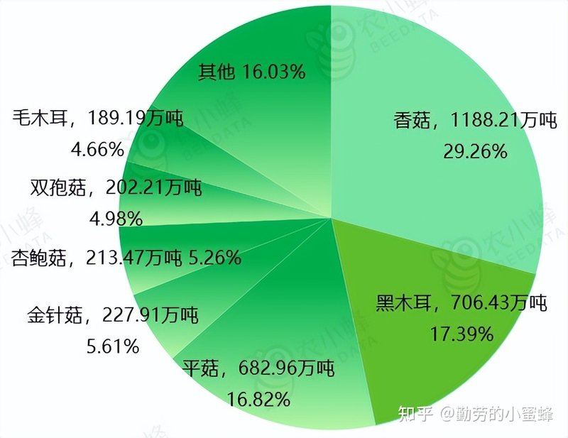 2022年中国食用菌产业数据分析简报-11.jpg
