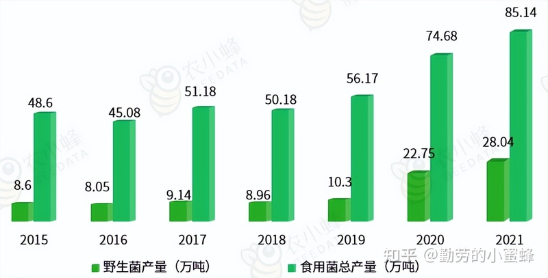 2022年中国食用菌产业数据分析简报-10.jpg