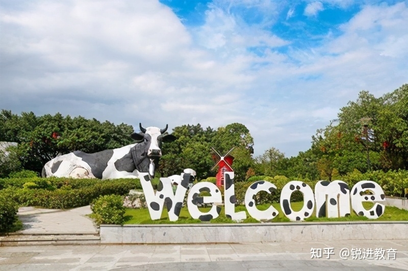 你对深圳了解有多少？深圳各区基本情况介绍来了~-26.jpg