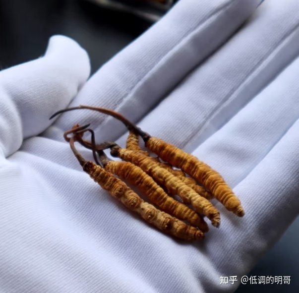 给领导送礼需要注意什么？怎么说比较好，过年给领导、男 ...-5.jpg
