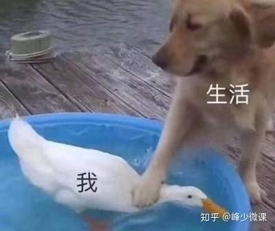 网上卖货最好用的平台有哪些？-1.jpg