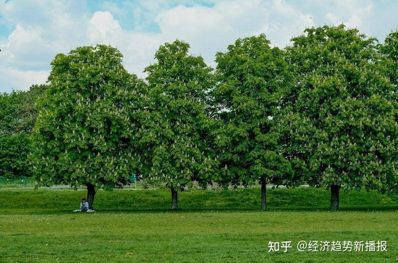 创·问｜拨楞鼓科技：全球再生资源大变局，我们踩准了“时”与 ...-1.jpg