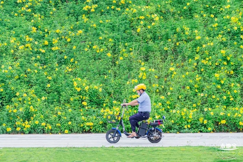 终于！深圳电动车登记上牌开始啦！附入口及流程！-13.jpg
