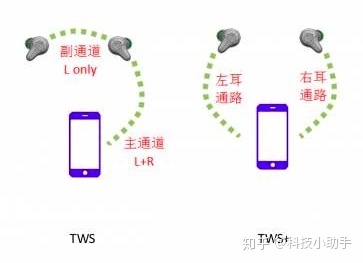 tws和tws+到底有什么区别，可以简单讲一下吗？-1.jpg