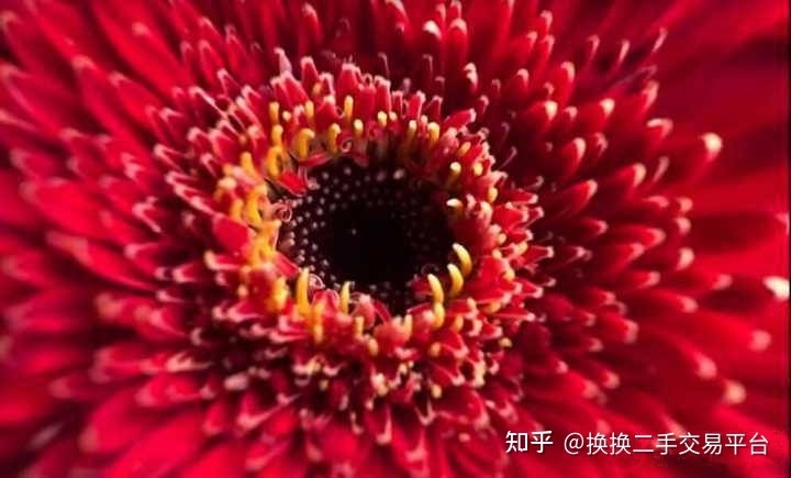 换换二手交易平台:iphone13 pro你一定要知道的五个相机小技巧-3.jpg