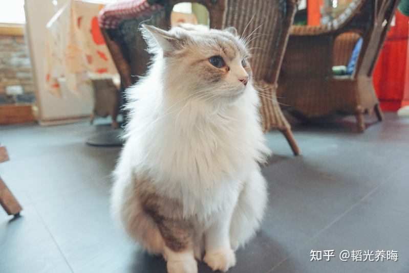 iPad的降价规律是什么？怎么买iPad 最便宜！-5.jpg
