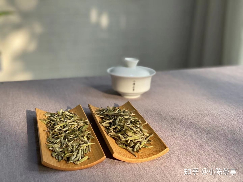 立春适合喝什么茶？看看这3个建议，绿茶、白茶、岩茶别选错啦-5.jpg