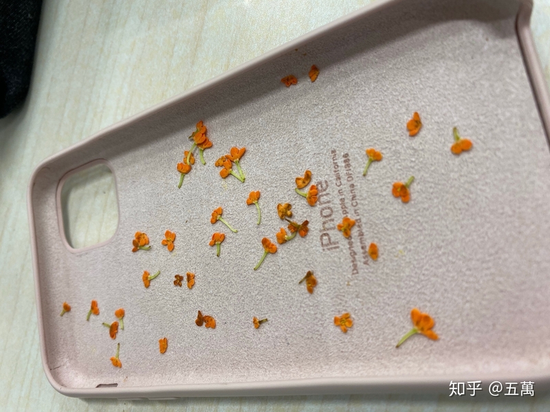 iPhone 11 用什么手机壳比较好看？-5.jpg