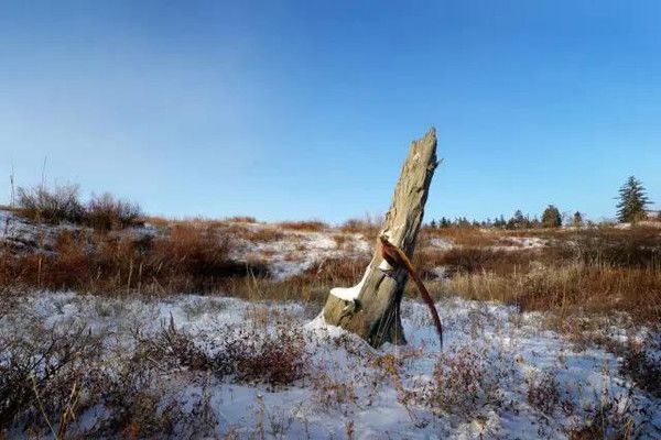 《山海经·中山经》异域奇兽【古今对照】整理——“中次六经 ...-4.jpg