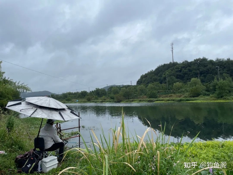 “水有多浅，鱼就多大”，春季野钓只盯着这一种钓位就行-1.jpg