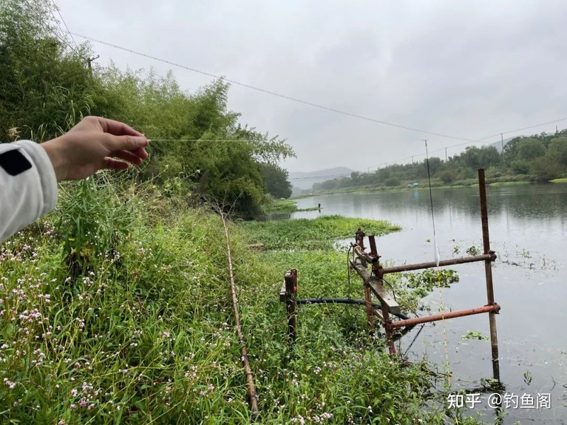 “水有多浅，鱼就多大”，春季野钓只盯着这一种钓位就行-2.jpg