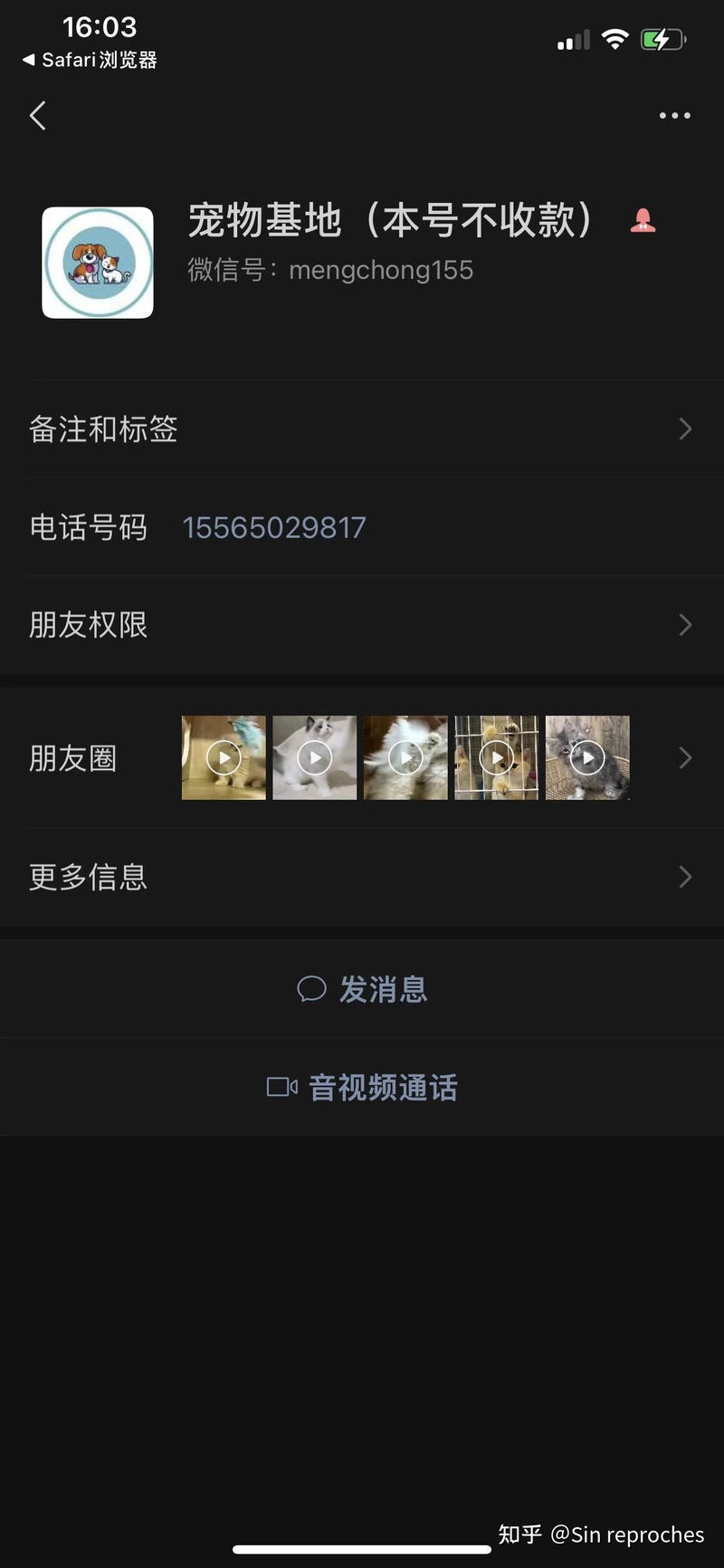 网上买猫被骗的家长都来看看-3.jpg