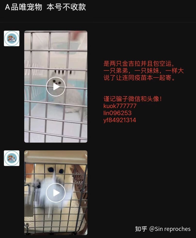 网上买猫被骗的家长都来看看-8.jpg