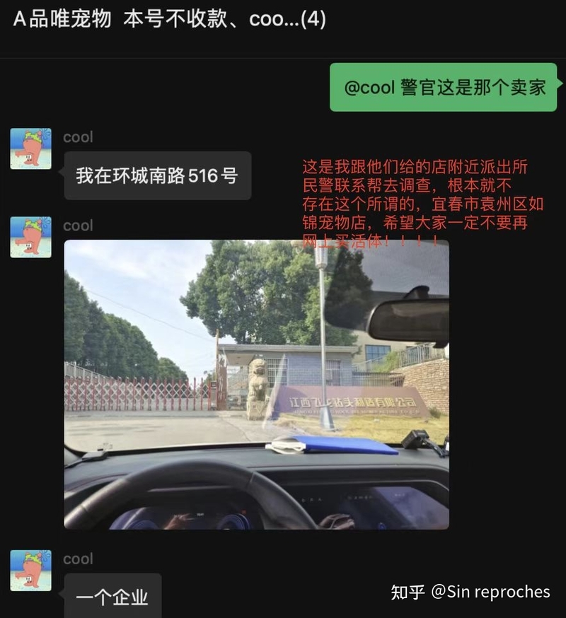 网上买猫被骗的家长都来看看-14.jpg