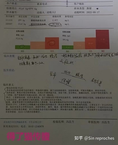 网上买猫被骗的家长都来看看-20.jpg