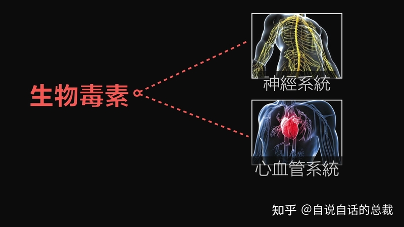 入侵海外的魔王，竟是云南人的宠物？三针蛰死牛，却被大量 ...-11.jpg