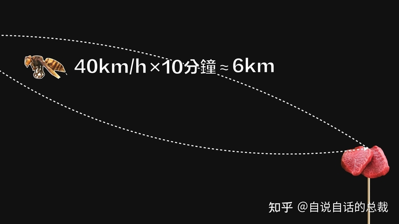 入侵海外的魔王，竟是云南人的宠物？三针蛰死牛，却被大量 ...-79.jpg