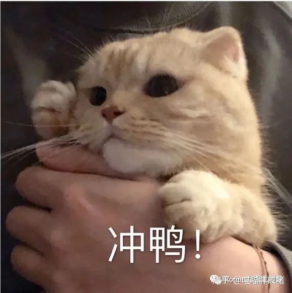 花300出头买华强北顶配「AirPods 3」体验几乎追平官方 ...-18.jpg