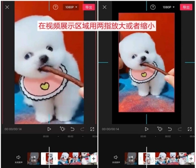 海外某音TikTok，如何破解视频0播的魔咒？-5.jpg