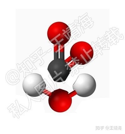 新房如何除甲醛？-36.jpg