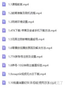 玩tiktok三个月，成功攒下二十万，推荐一个无脑赚钱副业项目 ...-7.jpg