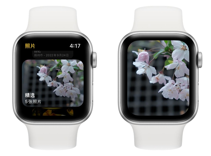 万字详解 Apple Watch 所有自带功能，一次看个爽！-24.jpg