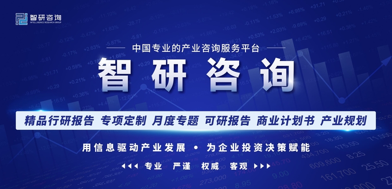 2023-2029年中国手机租赁行业全景调研及竞争格局预测报告 ...-1.jpg