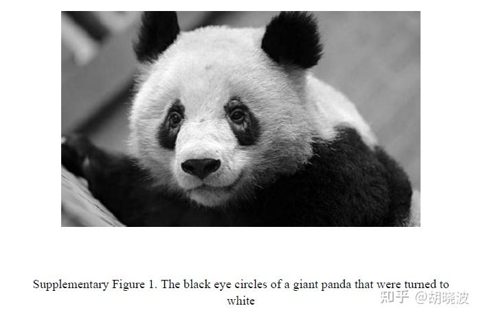 眼霜能去掉熊猫的黑眼圈吗？为什么？-1.jpg