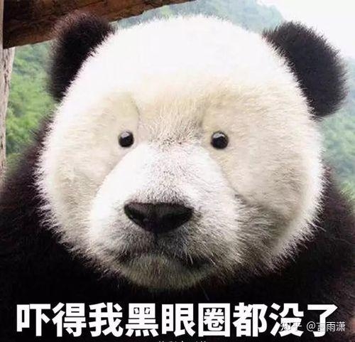 眼霜能去掉熊猫的黑眼圈吗？为什么？-1.jpg