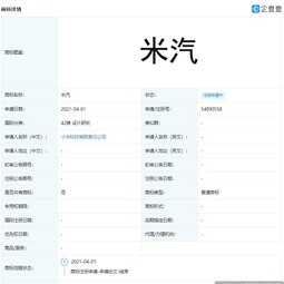 小米注冊米汽商標(biāo)，網(wǎng)友很想知道這車到底要叫什么名字